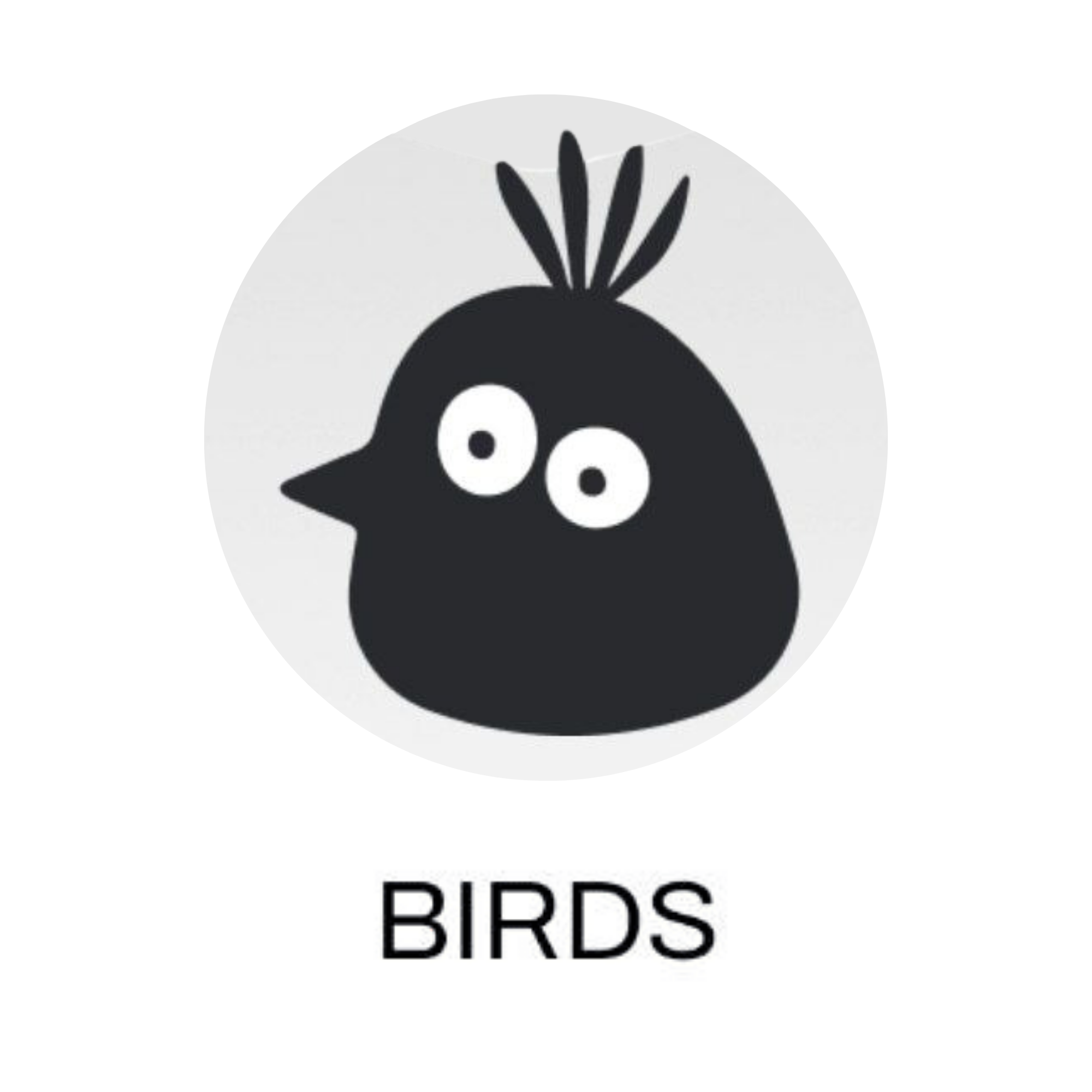 Airdrop Bird/ Bird Automation tool