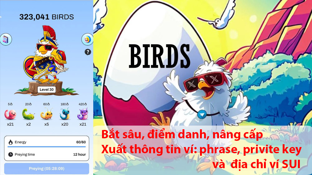 BIRD SUI - Bắt sâu, điểm danh,.. và xuất thông tin ví