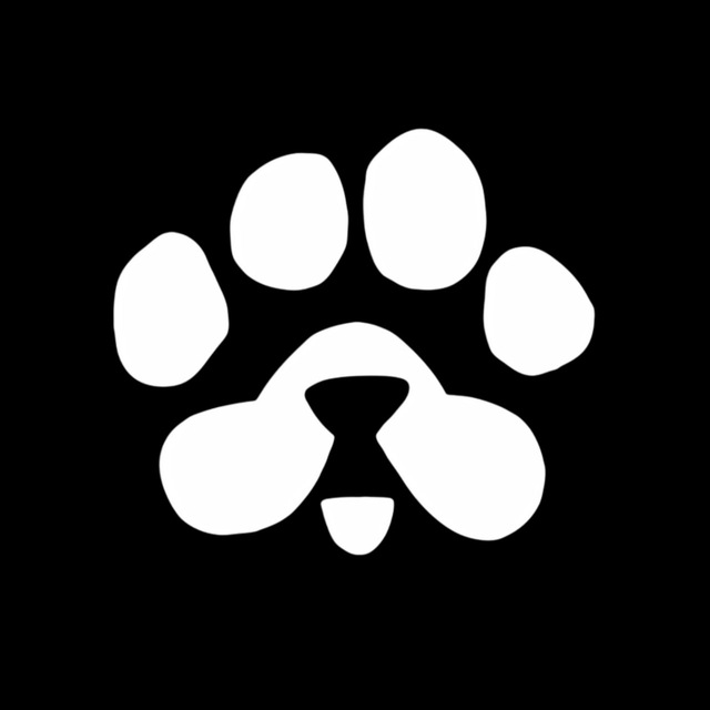 Airdrop PAWS V8 (VOTE, REF, FULL TASK, LIÊN KẾT VÍ, XUẤT LINK REF )