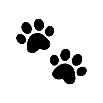 PAWS - FULL TASK - ADD WALLET