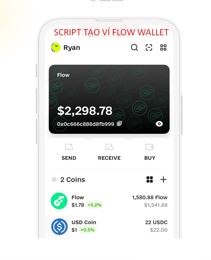 TẠO VÍ FLOW WALLET HÀNG LOẠT - LƯU SEEDPHRASE + ADDRESS