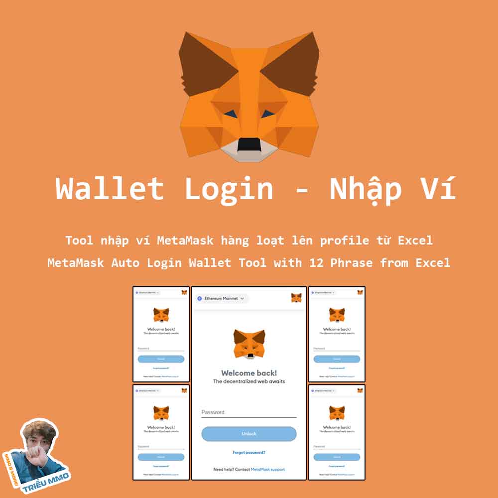 Tool nhập ví MetaMask hàng loạt lên profile từ Excel - MetaMask Auto Import Tool From Excel With 12 Phrase - TrieuMMO