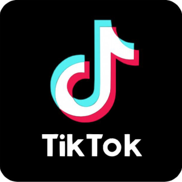 Reg Tiktok hàng loạt