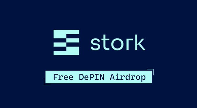 Stork