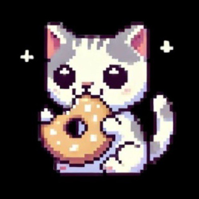 BAGEL FINANCE THEO YÊU CẦU!