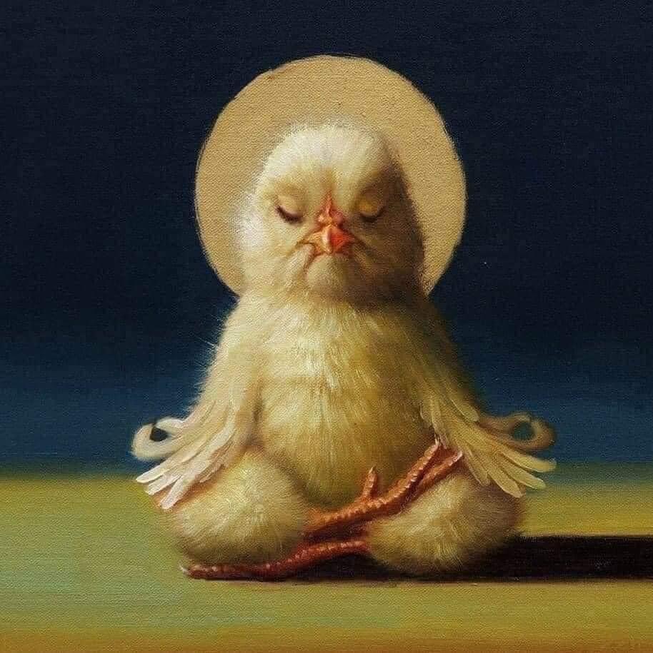 Login Paypal Đa Luồng SLL