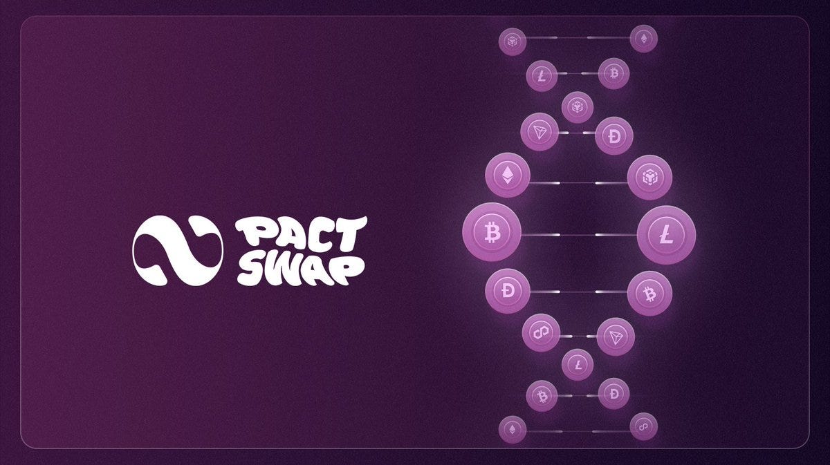 Pact Swap Loyalty Program Tool ( Premium Private ) | Earn Points to Claim $PACT (ETH Chain) | Raised $5M