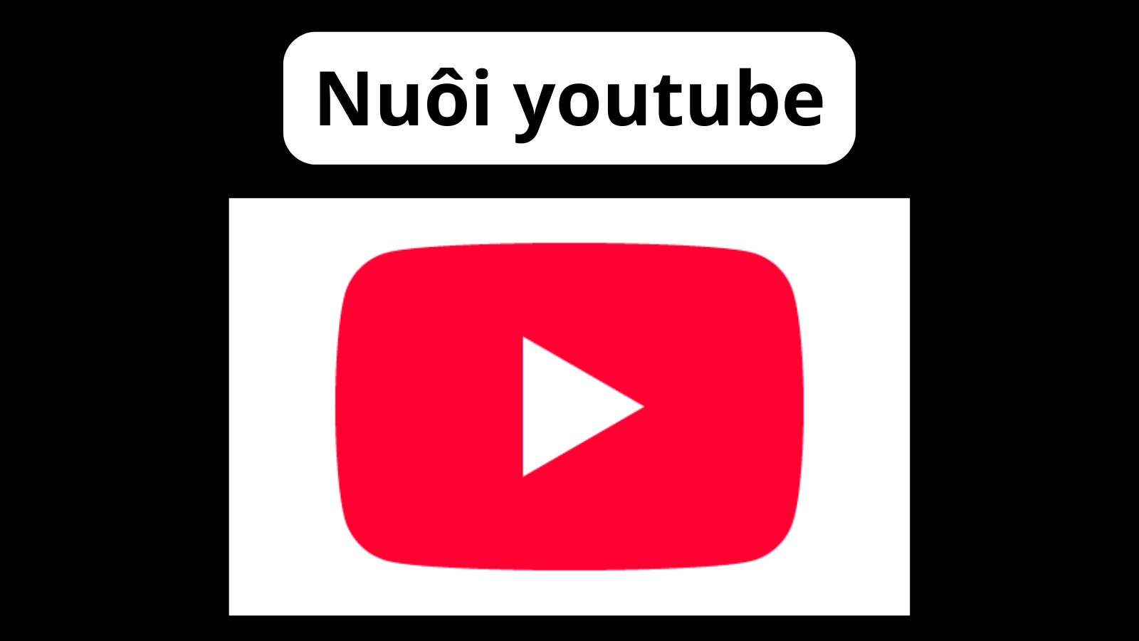 Nuôi Youtube - Warm up Youtube